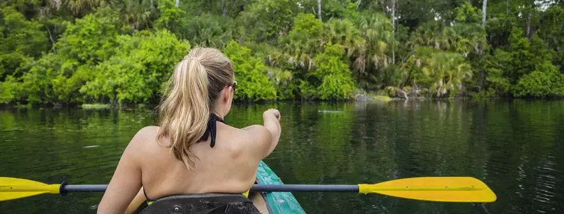 kayaking with gators